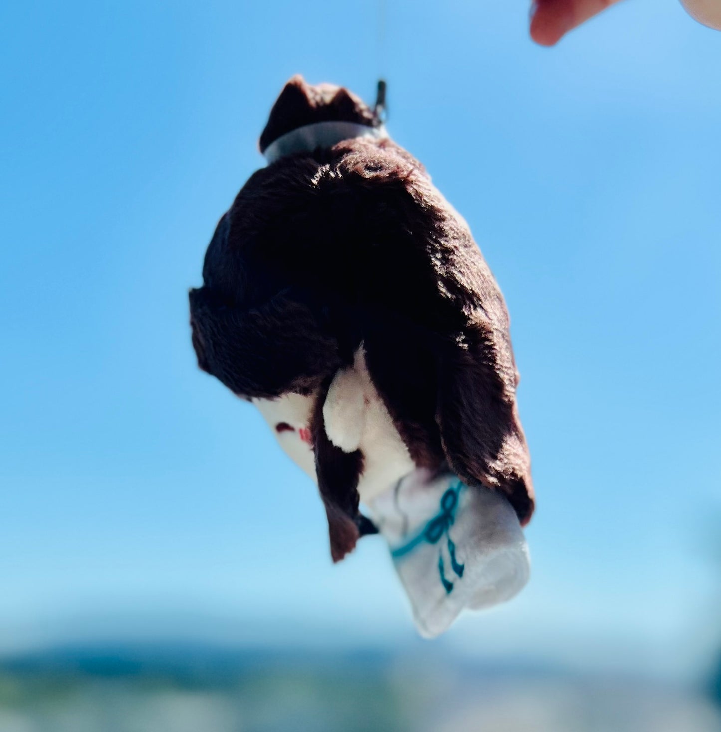 Xie Lian Teru Doll