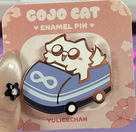 Roller Coaster Pin